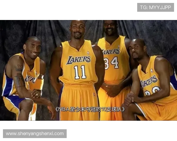 NBA篮球队员：各支NBA球队的明星球员及他们的贡献