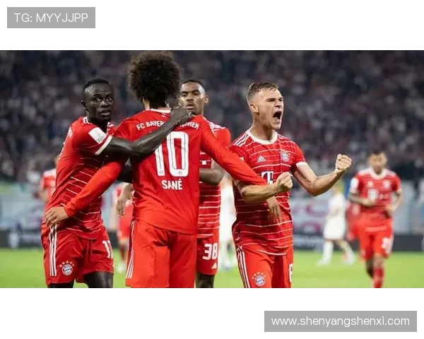 “德甲巨人”是指哪支球队？历史荣誉与阵容深度分析