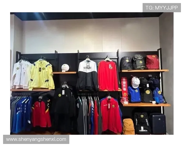 德甲球队围巾标志:解读德甲各大球队围巾设计与球迷文化