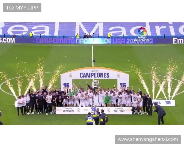 西甲联赛积分榜雪缘园官方数据解析